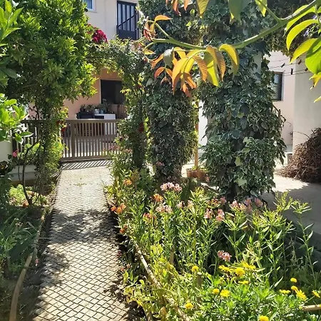 Casa Alegria - Vista Da Serra *