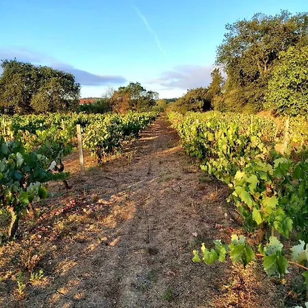 Casa Alegria - Vista Da Serra * Tomar