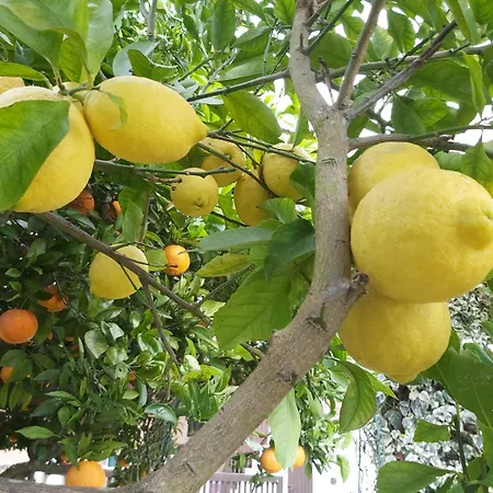 Apartment Casa Alegria - Vista Da Serra *