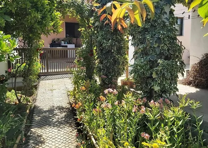 Casa Alegria - Vista Da Serra *