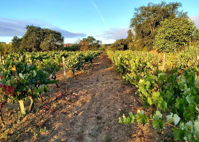 Casa Alegria - Vista Da Serra * טומאר